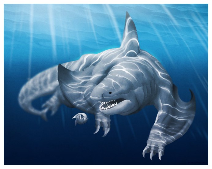 Большая белая акула (Carcharodon carcharias)
