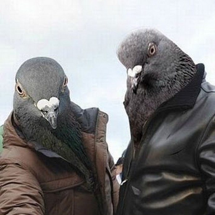 Голуби РЭПЕРЫ