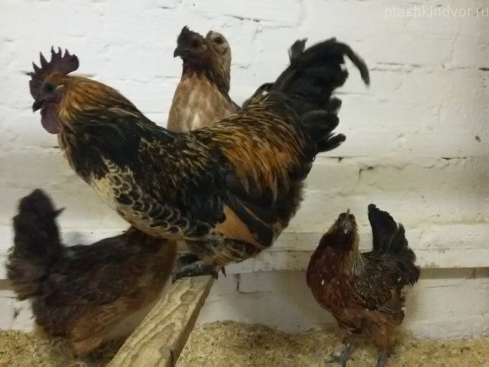 Лакеданзи и Ухейилюй