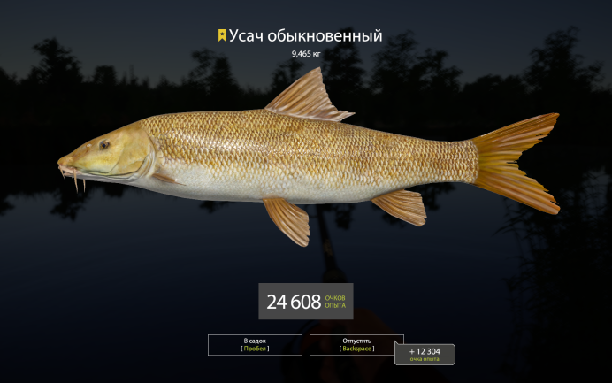 Маринка обыкновенная рыба