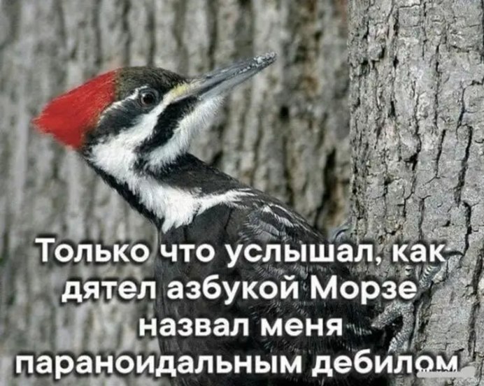 Сосед с перфоратором