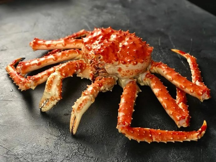 Тасманийский Королевский краб