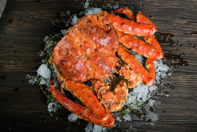 King Crab 100t