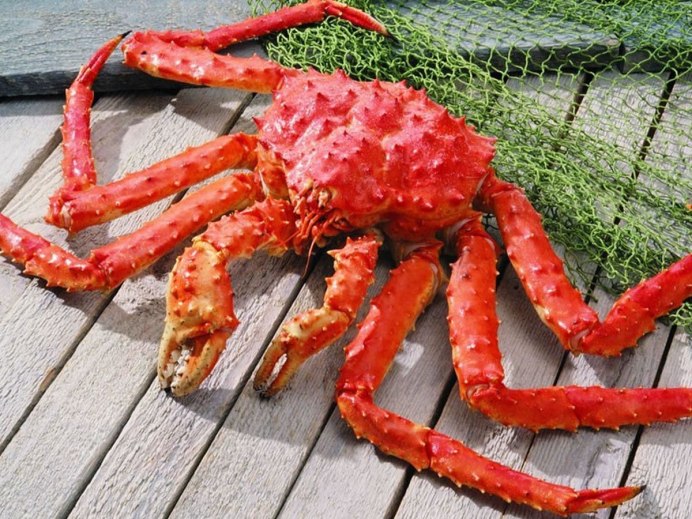 Камчатский Королевский краб