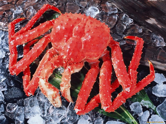Камчатский колючий краб
