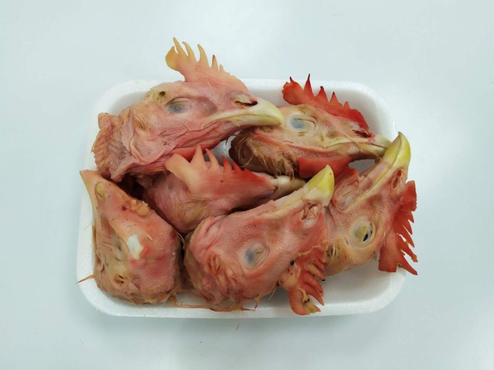 Главная курица