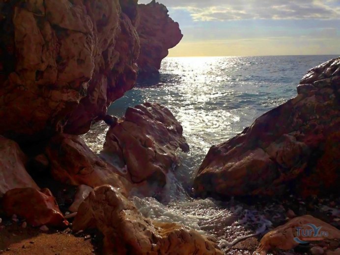 Балтийская Чайка Баклан