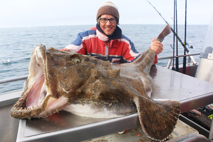 Европейский удильщик морской чёрт