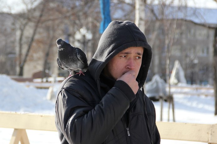 Голубь сидит на плече