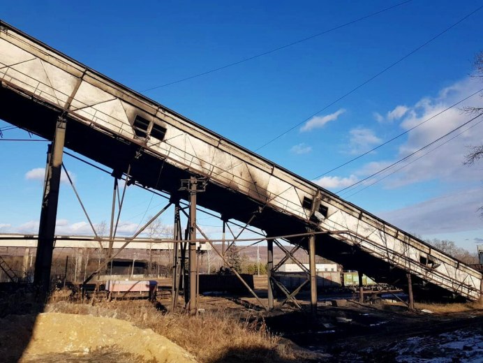 Полосатый полоз змея