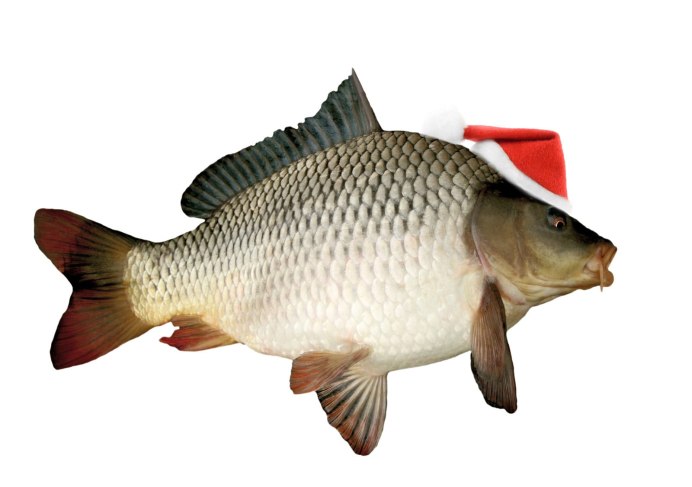 Сазан (Cyprinus Carpio)