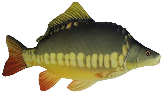 Карп (Cyprinus Carpio)