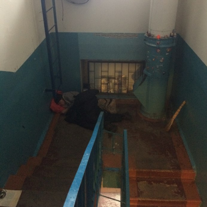 Голубь на подоконнике