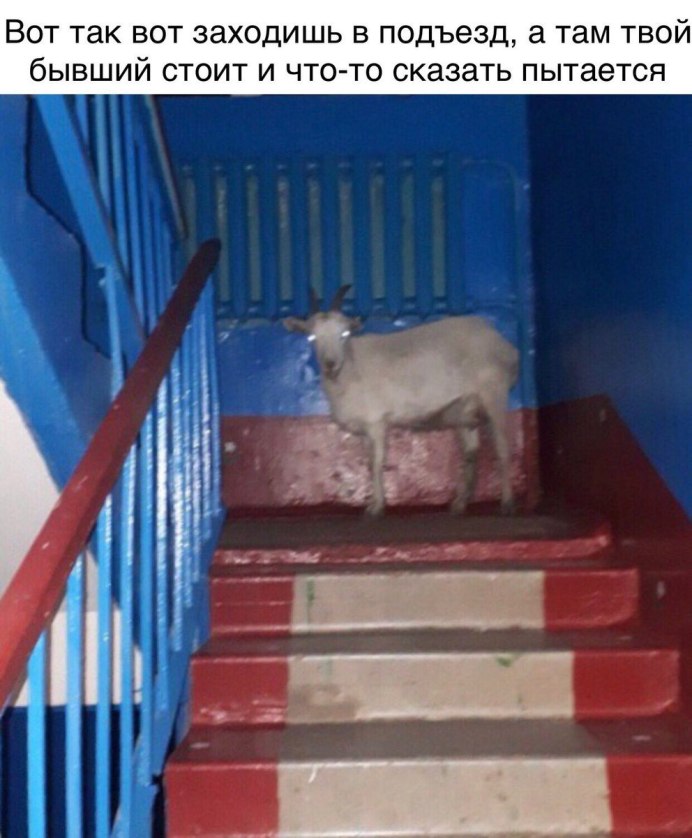 Пьяные бомжи в подъезде