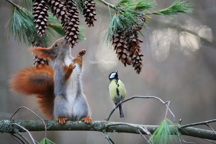 Вадим Трунов фотограф