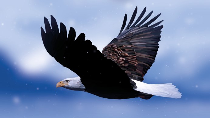 Белый Орел в полете