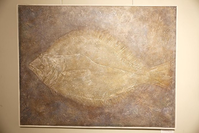 Pseudopleuronectes Obscurus