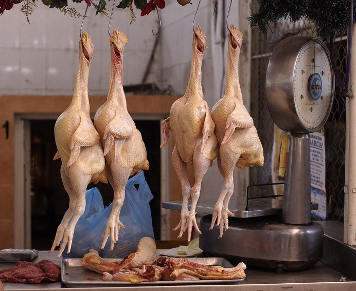 Кошка и курица