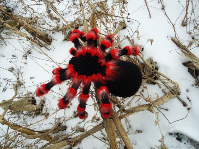 Redback Spider паук