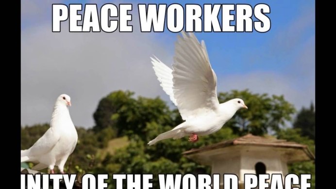 Голубь взлетает