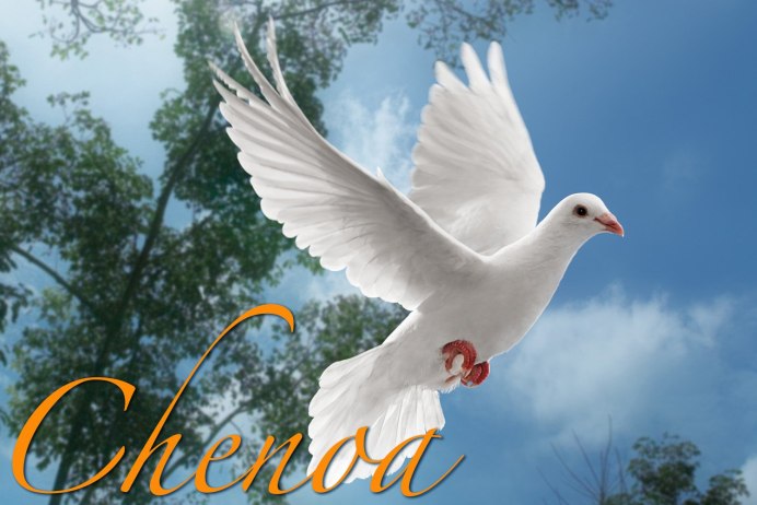 Горлица белая птица