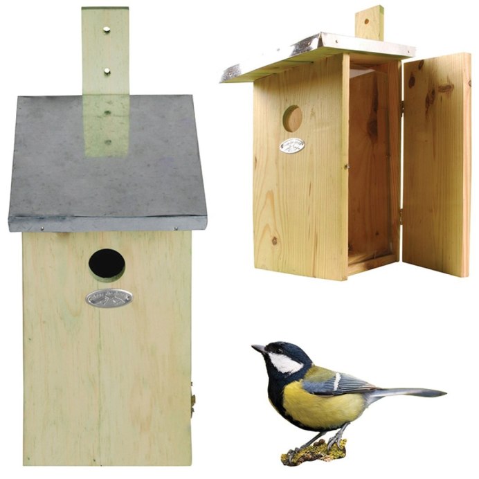 Поползень Дальневосточный