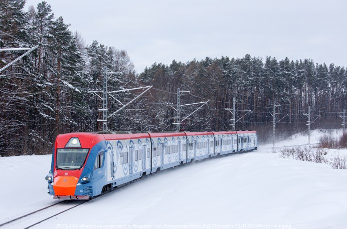 (African Golden Oriole)