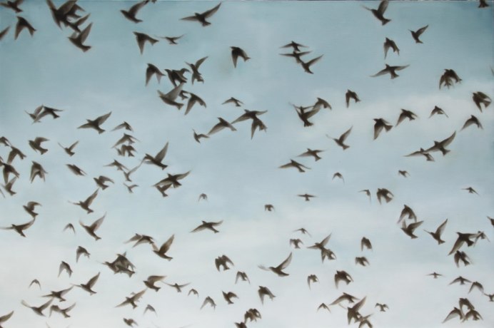 Весенние птицы в полете