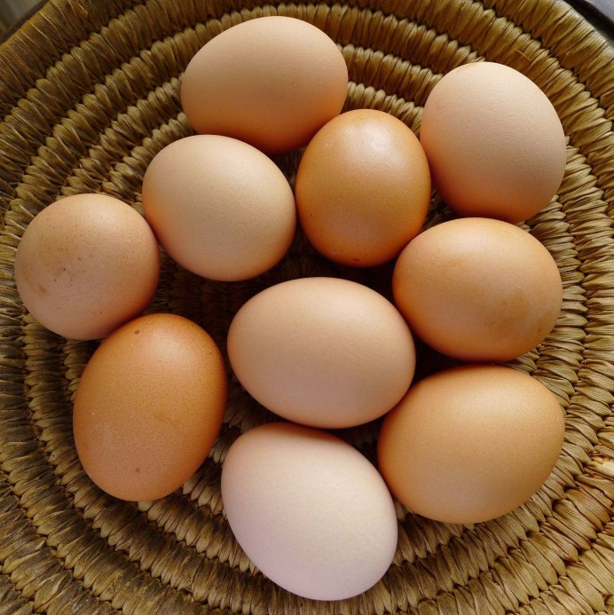 Яйца куриные домашние
