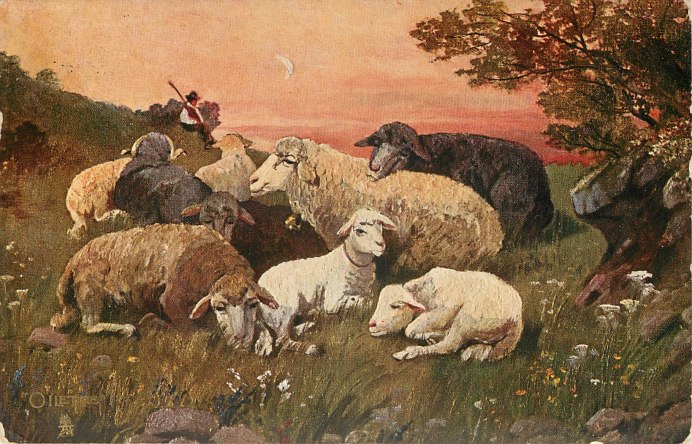 Баран картина