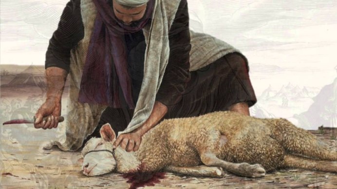 Бараны породы Тексель