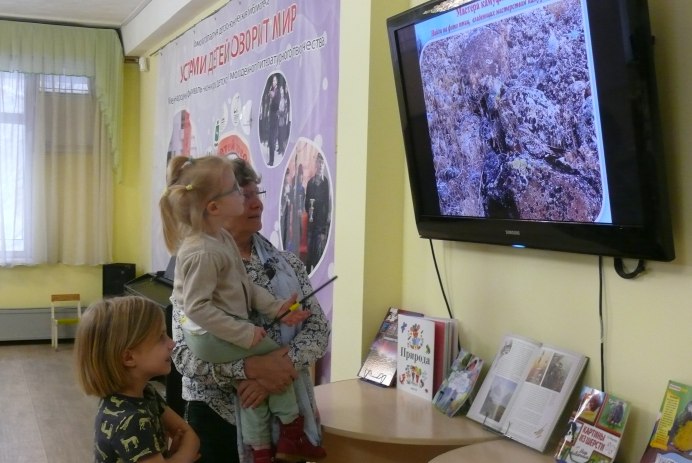 Плачет Иволга