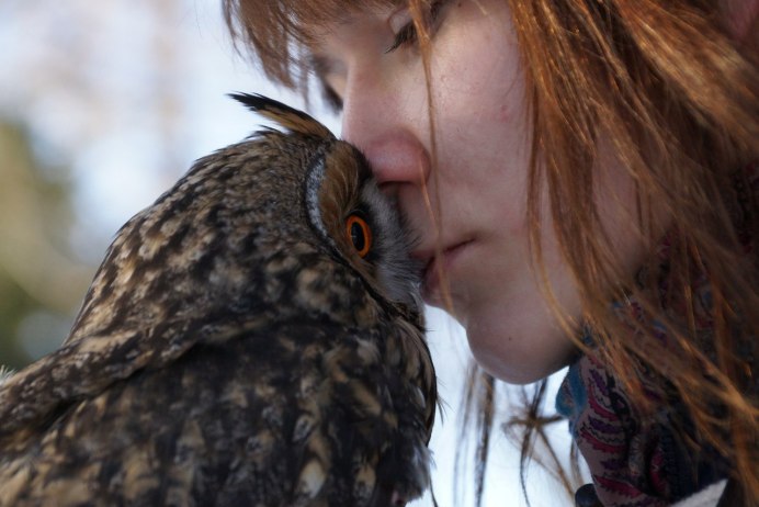 Воробьиный Сыч - Glaucidium passerinum
