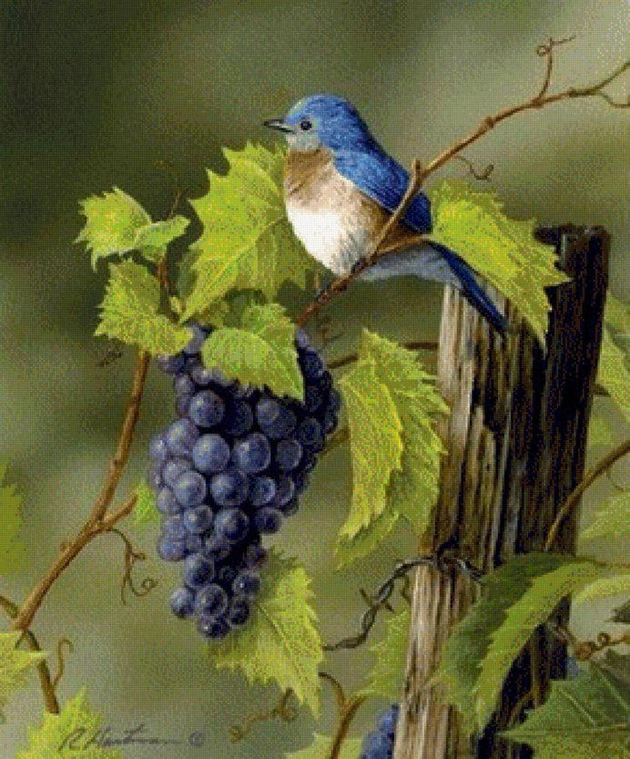 Китайская живопись гунби виноград