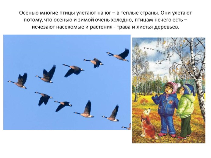 Осеннее утро на реке