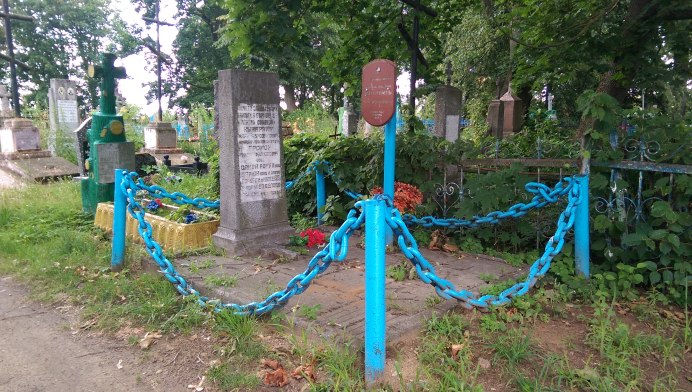 Птица Дрозд рябинник