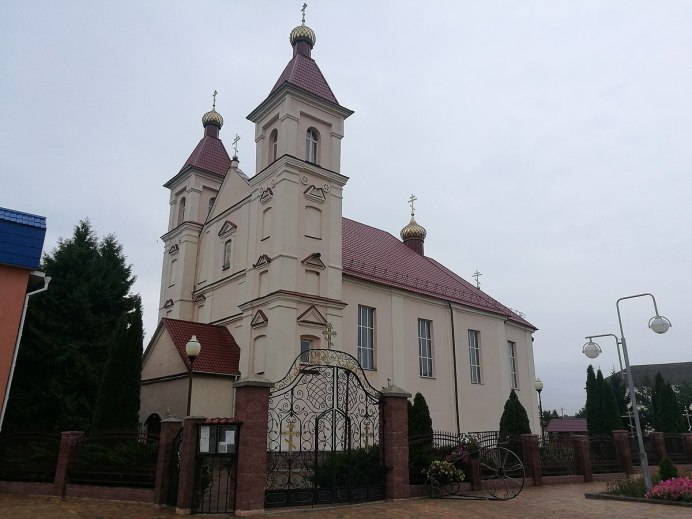 Краснокрылый черный Дрозд