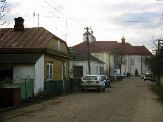 Птенец поползня выпал из гнезда