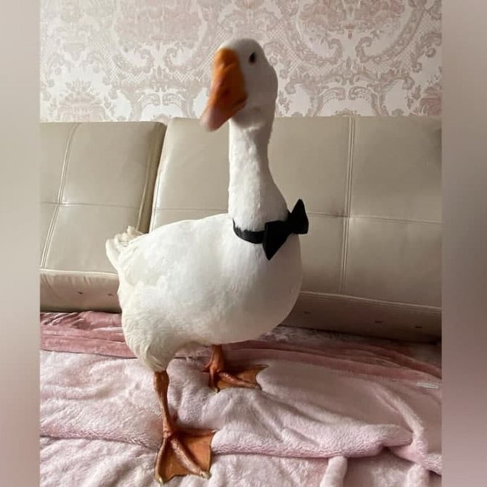Музей дом гуся Богородское