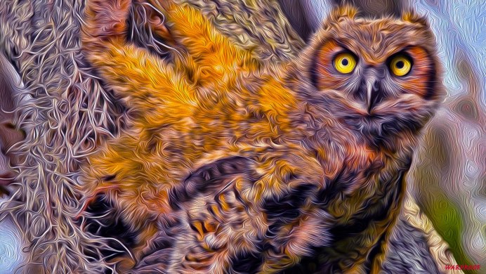 Хищные птицы Филин