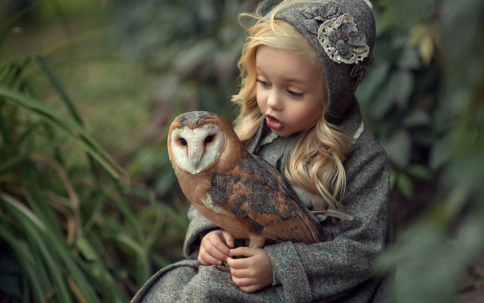 Воробьи в саду