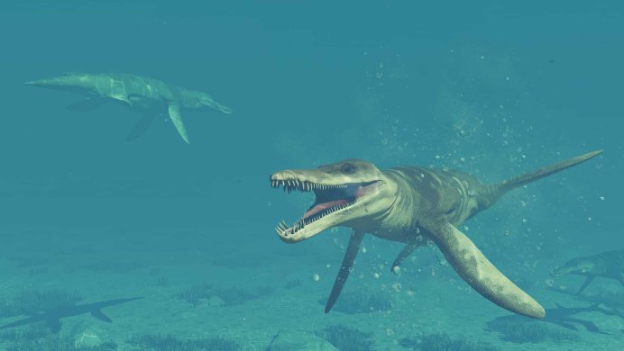Kronosaurus queenslandicus
