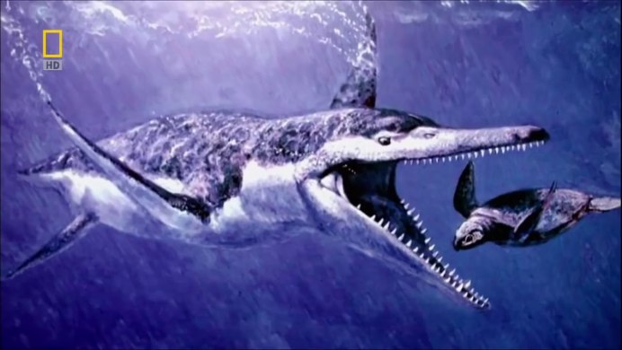 Kronosaurus queenslandicus