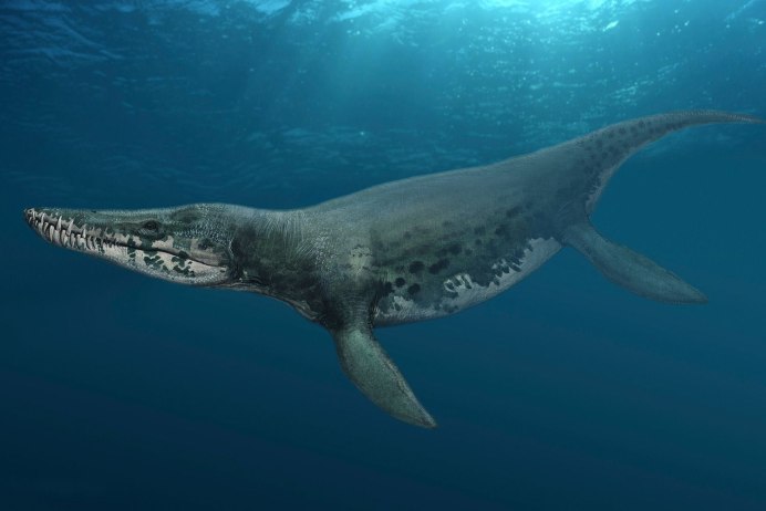 Морские динозавры Kronosaurus