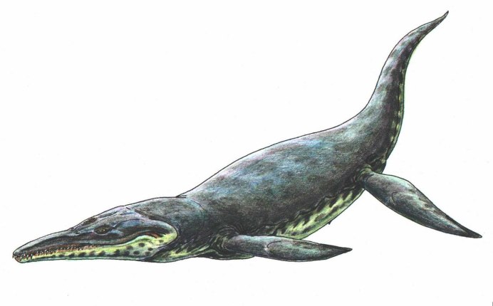 Kronosaurus Boyacensis