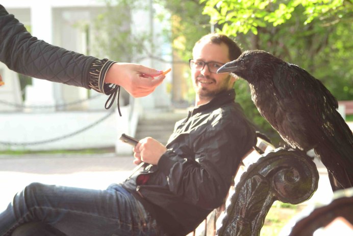 Ворона меланист