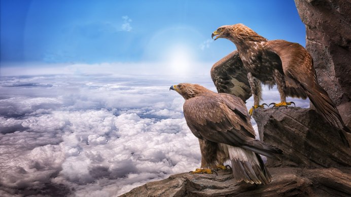 Беркут Халзан