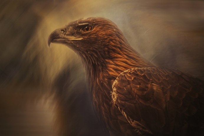 Орел Дагестан