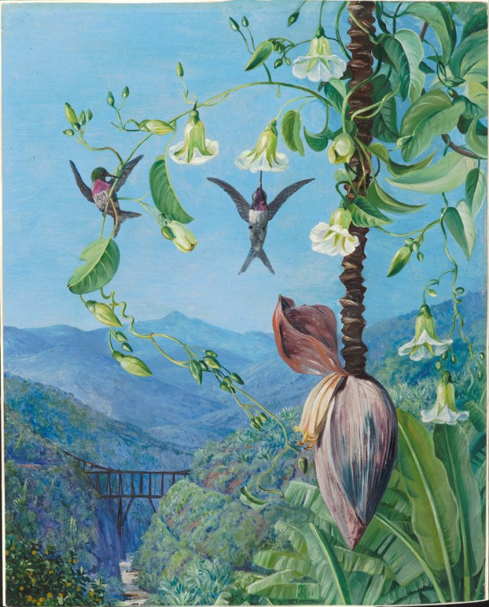 Марианна Норт