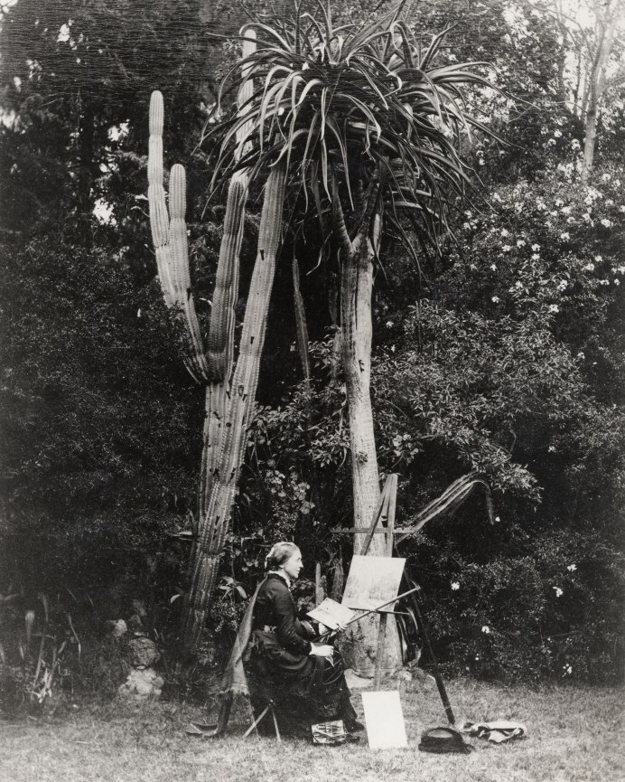 Пуйя Марианн Норт